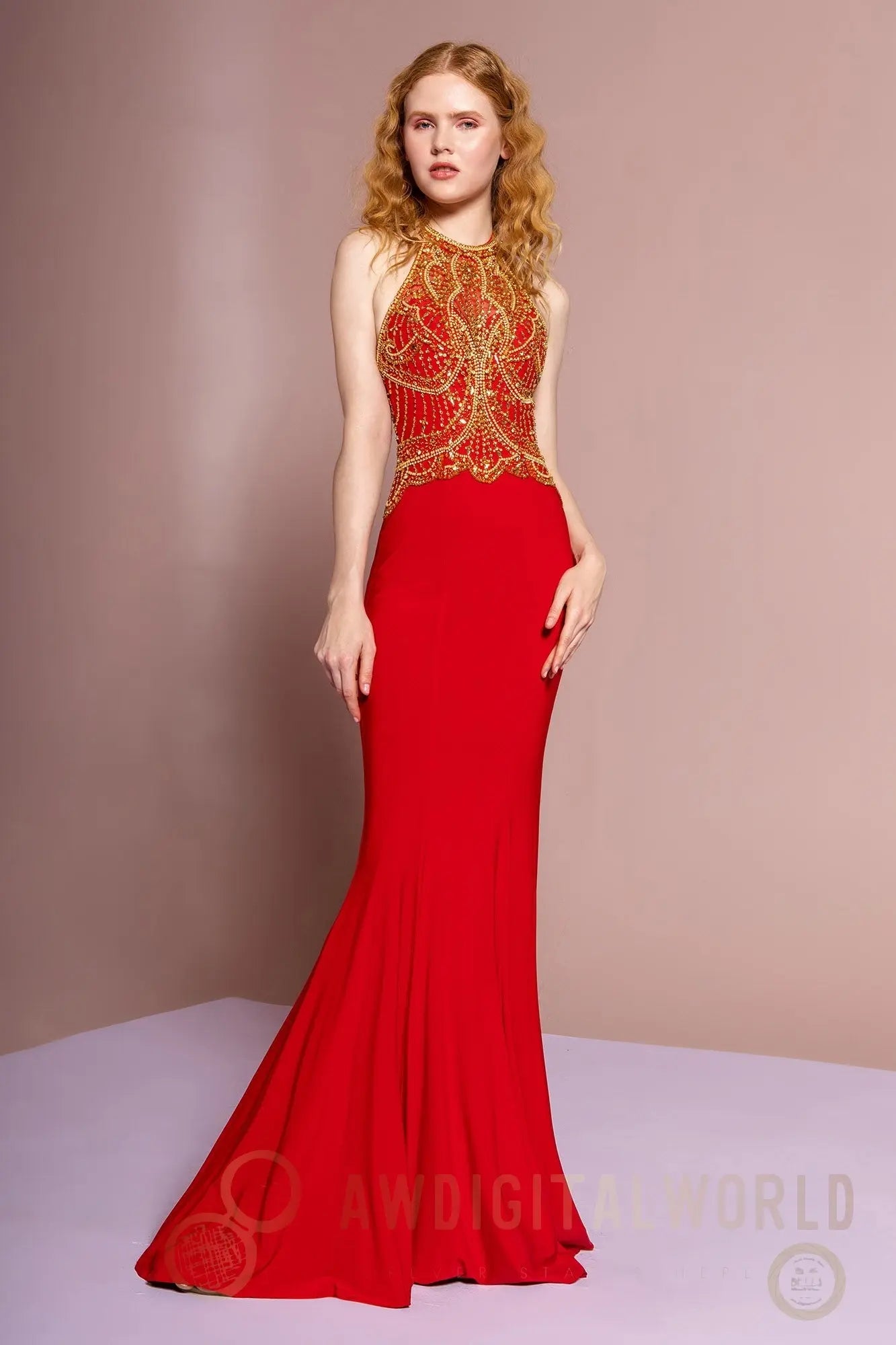 Halterneck Jersey Long Dress with Beaded Bodice-3