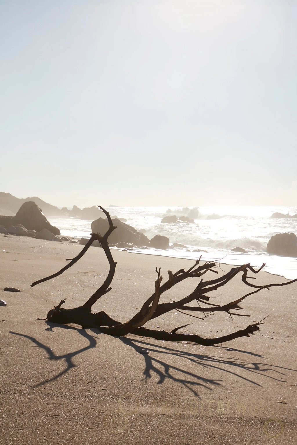 PERFUME OIL EARTH Asmi ayurveda