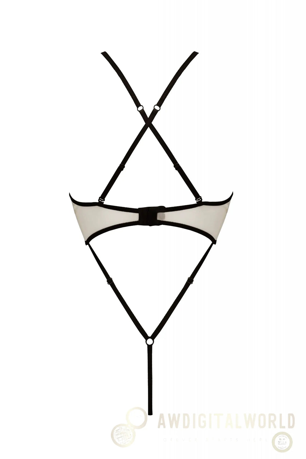 Sheer Mesh Lace Crotchless Body Passion Chica-3