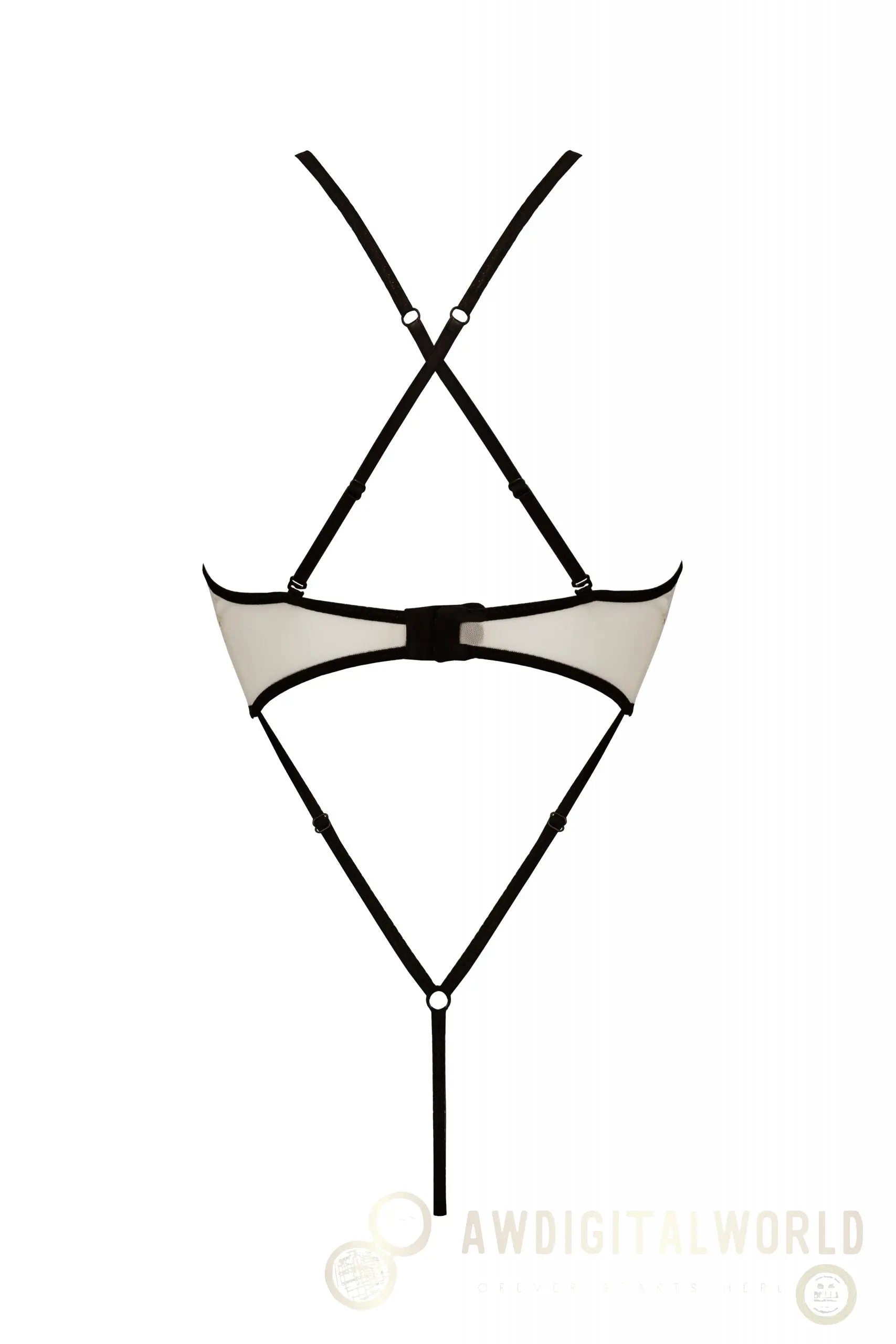 Sheer Mesh Lace Crotchless Body Passion Chica-3