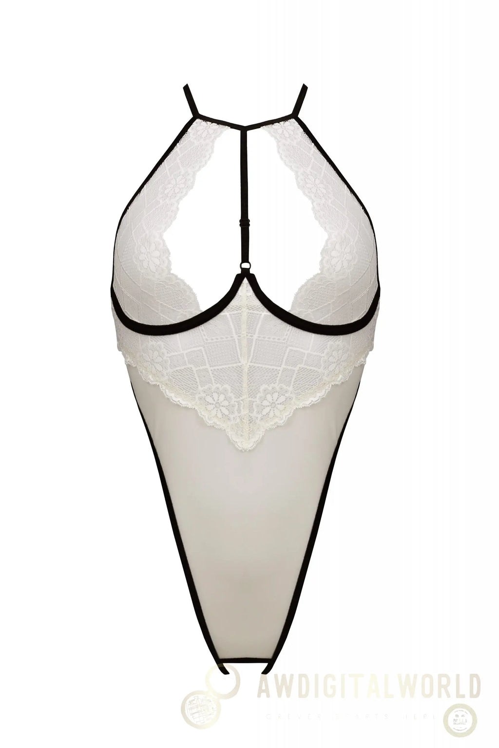 Sheer Mesh Lace Crotchless Body Passion Chica-2