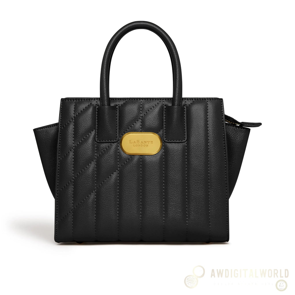 Mini Demi Tote Bag in Black-1