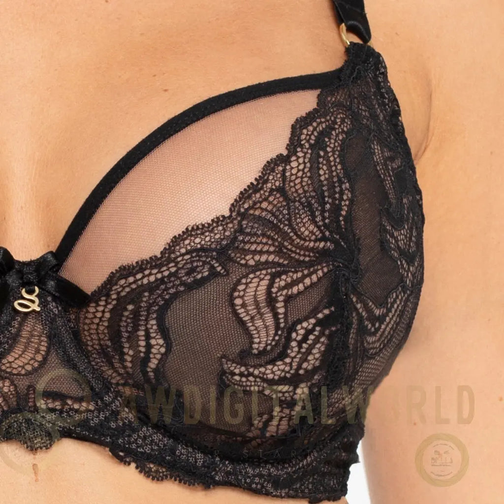 Sheer Lace Full Figure Bra Samanta Nyks-2