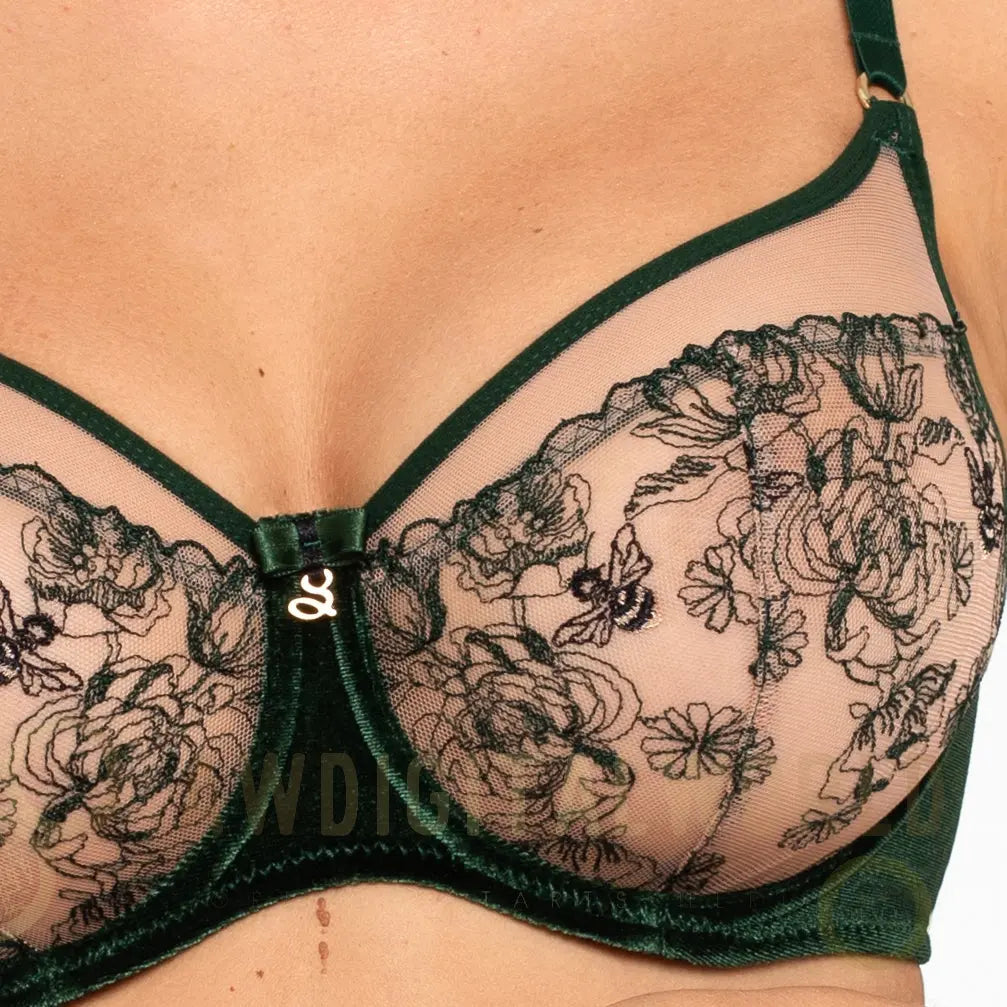 Velvet Sheer Embroidered Full Figure Bra Ola-2