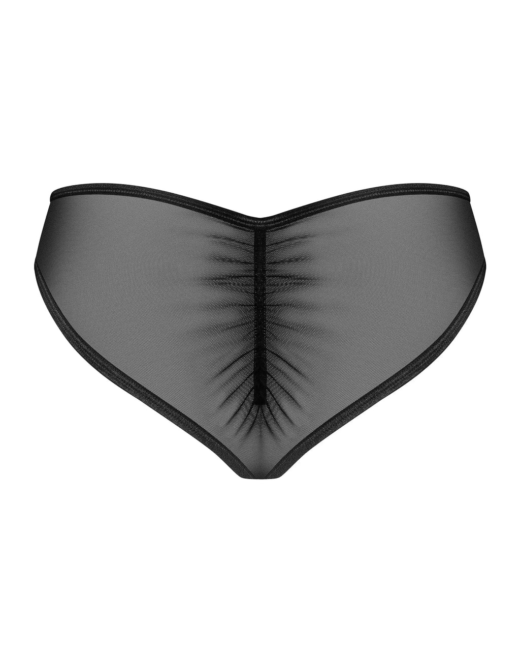 Sheer Mesh Lace Bikini Panty Obsessive Donarella-3