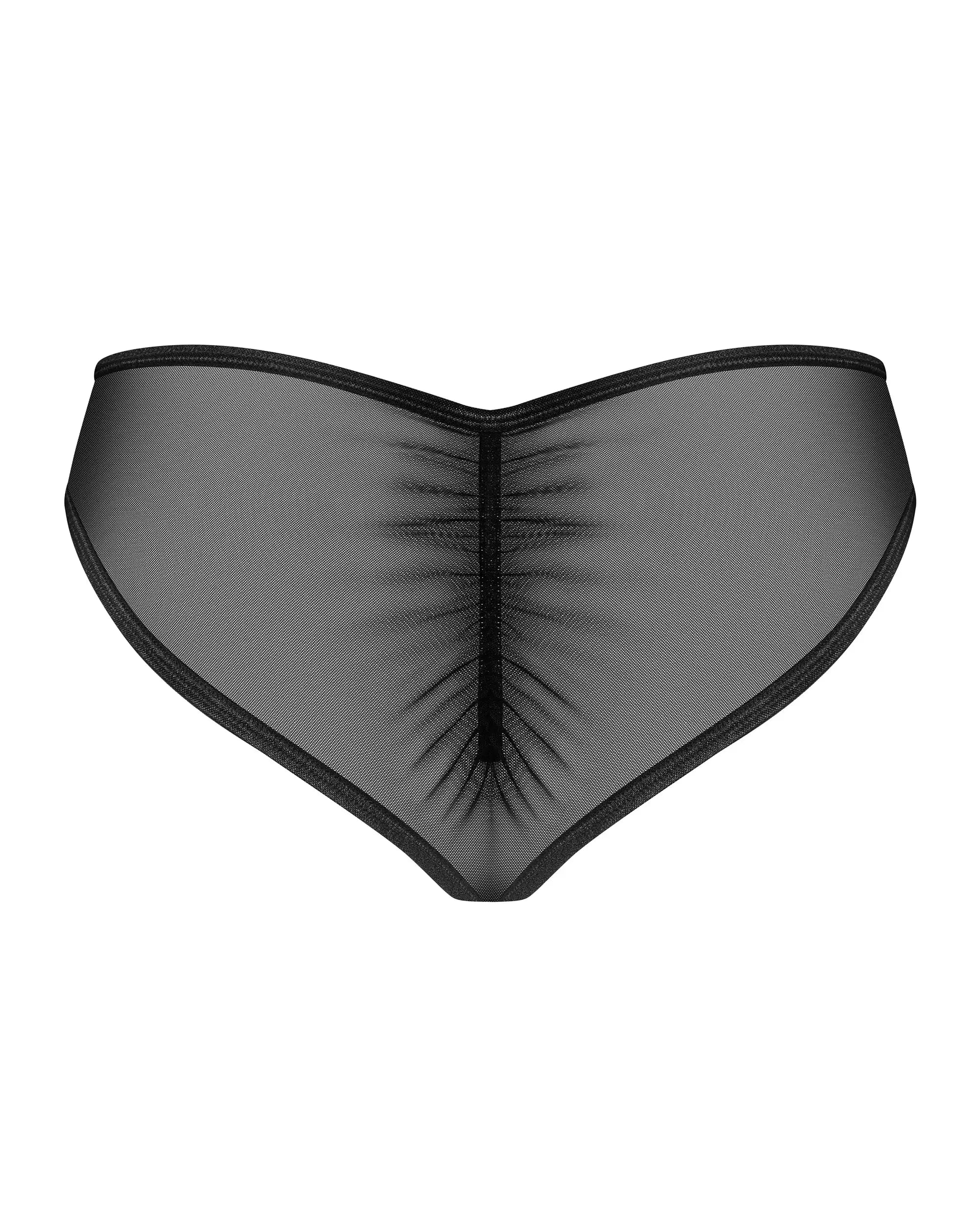 Sheer Mesh Lace Bikini Panty Obsessive Donarella-3