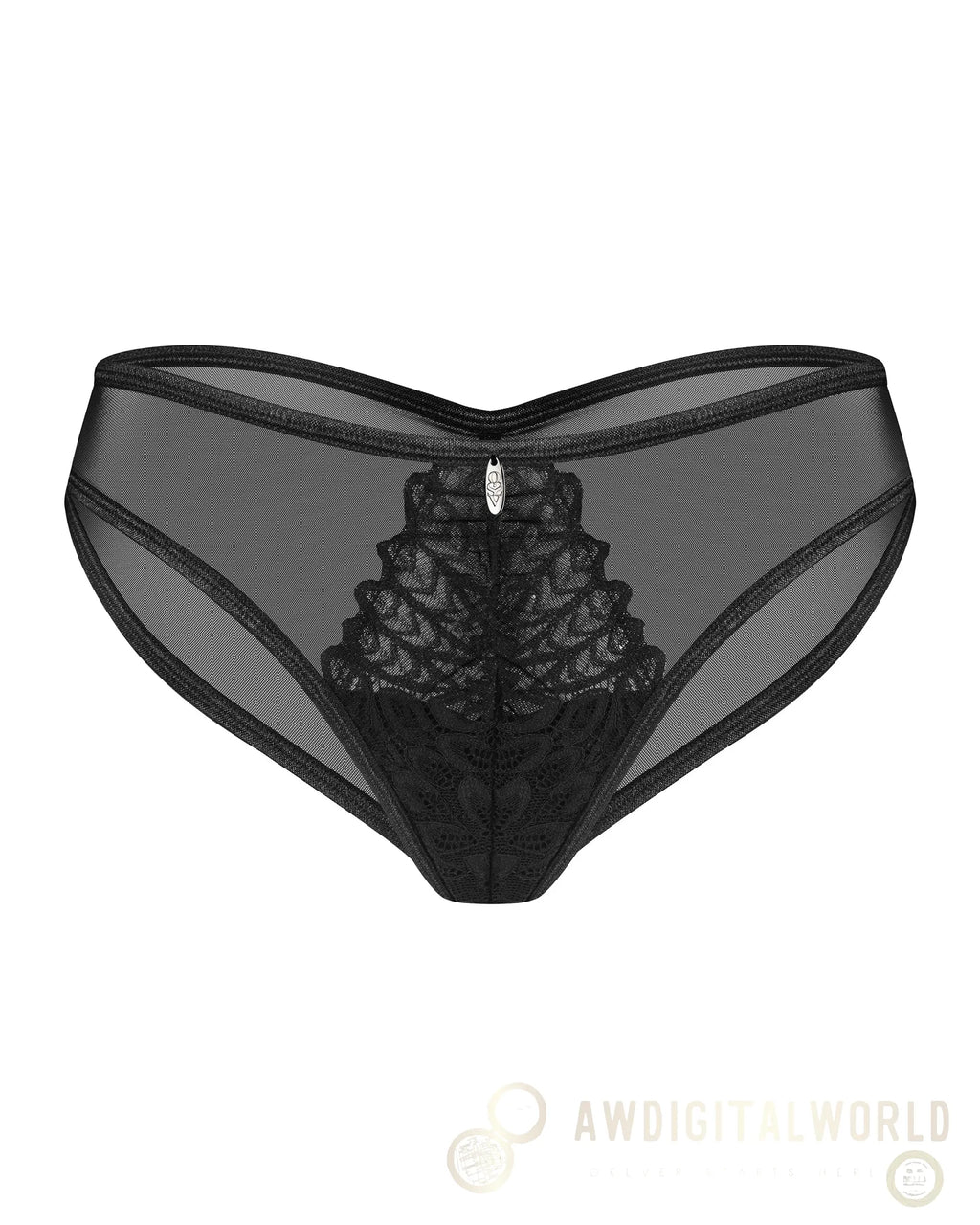 Sheer Mesh Lace Bikini Panty Obsessive Donarella-2