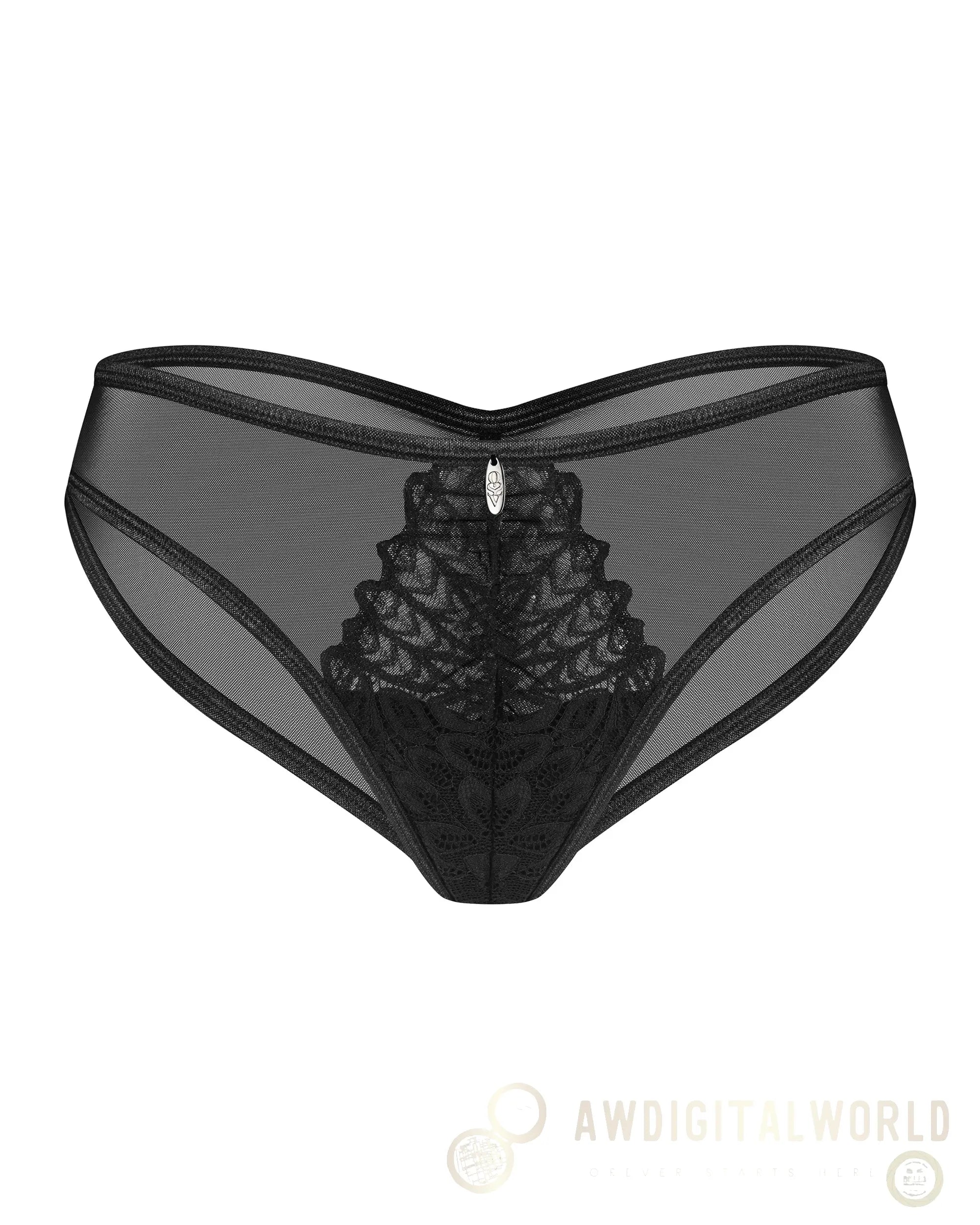 Sheer Mesh Lace Bikini Panty Obsessive Donarella-2