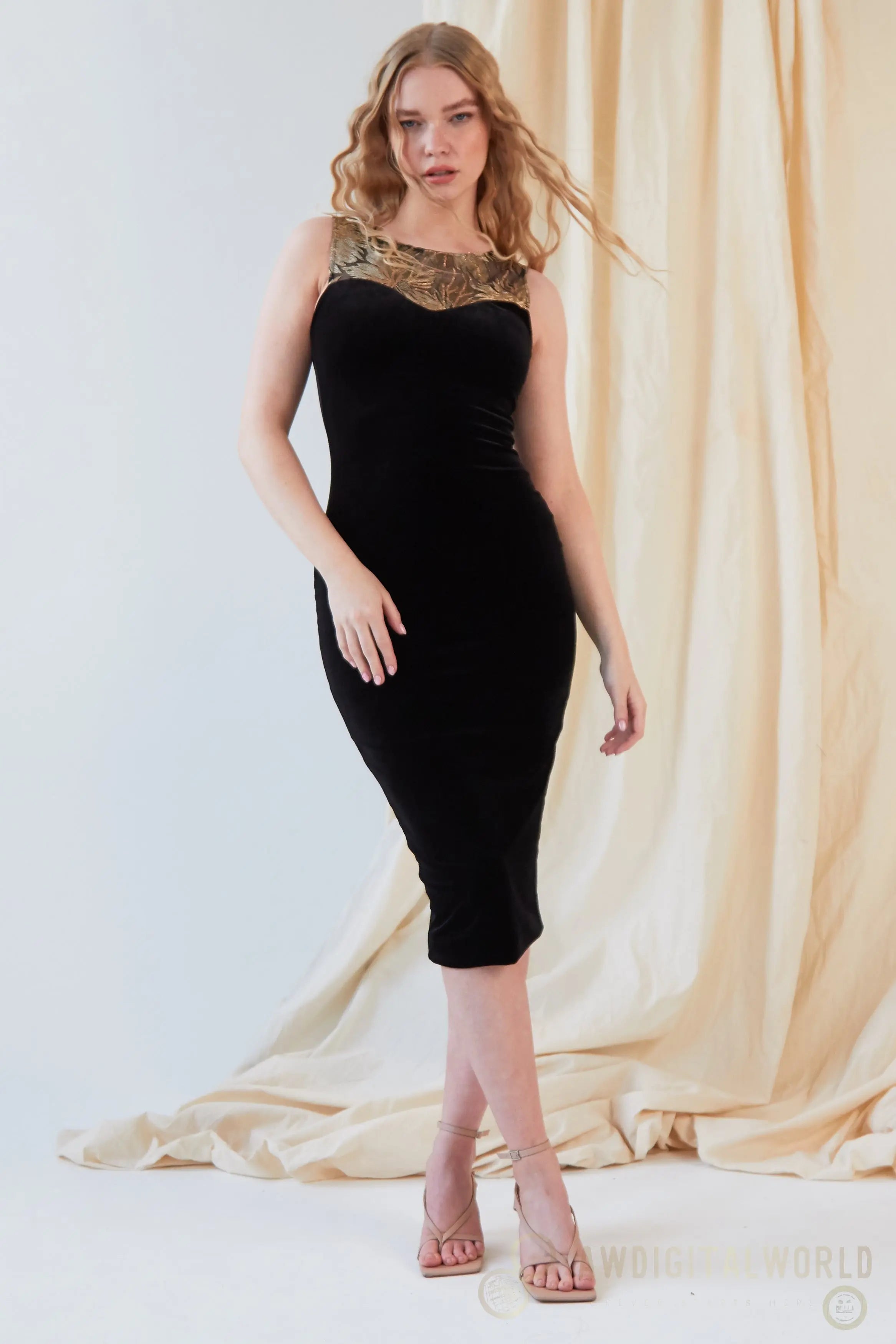 Sweetheart Neckline Dress Sarvin