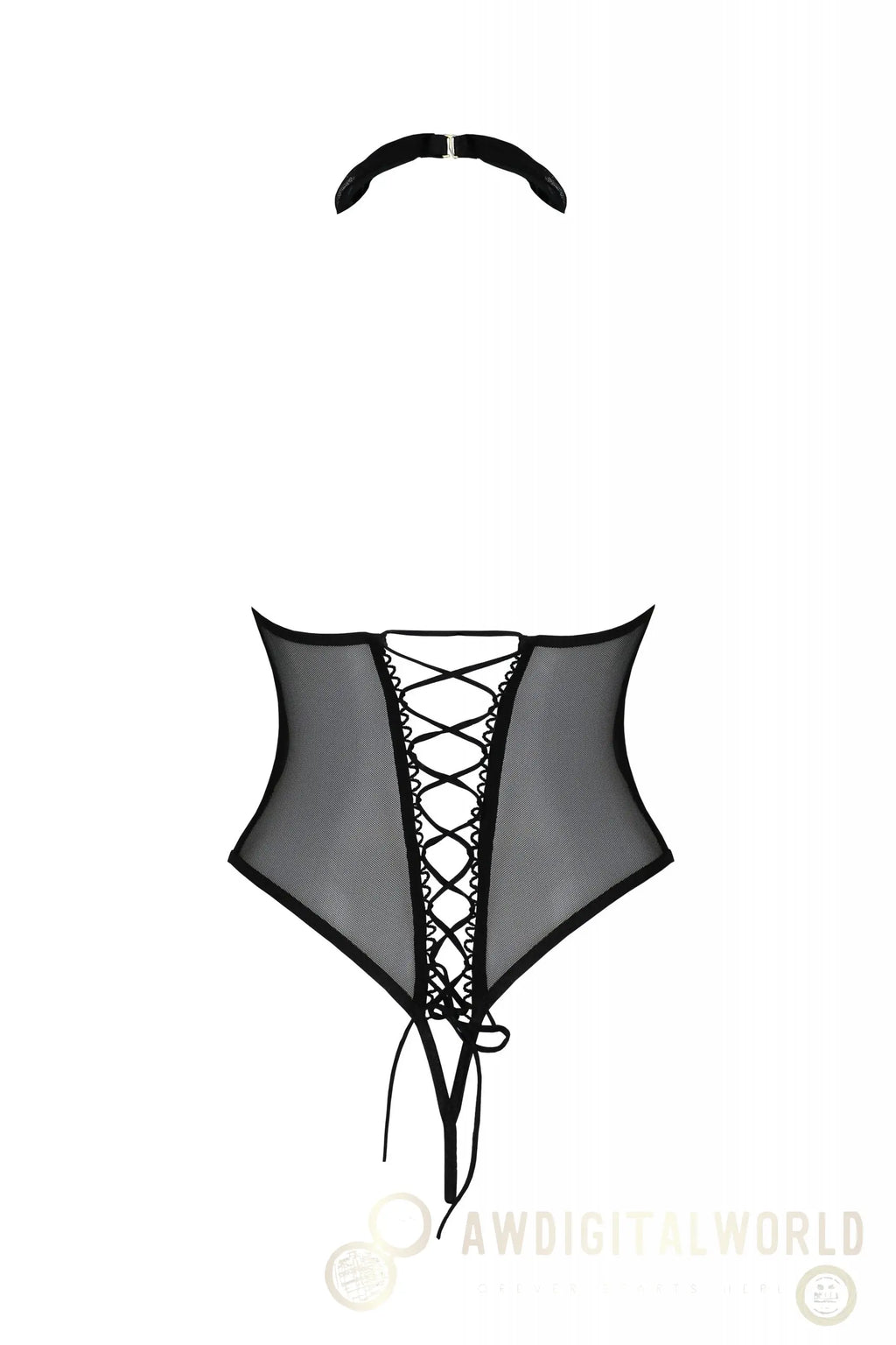 Sexy Sheer Choker Bodysuit Passion Trisha-3