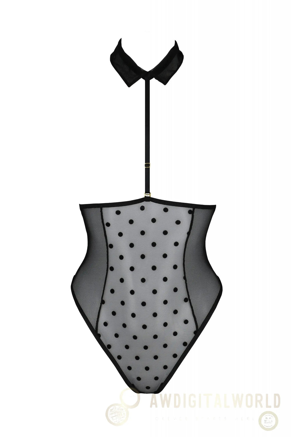 Sexy Sheer Choker Bodysuit Passion Trisha-2