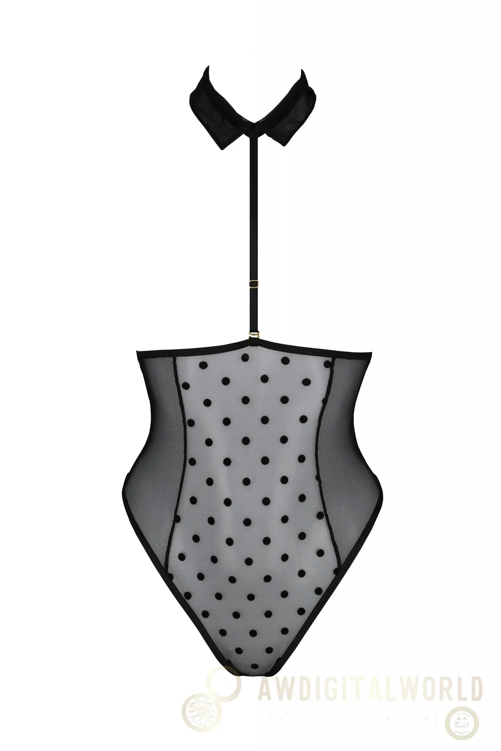 Sexy Sheer Choker Bodysuit Passion Trisha-2