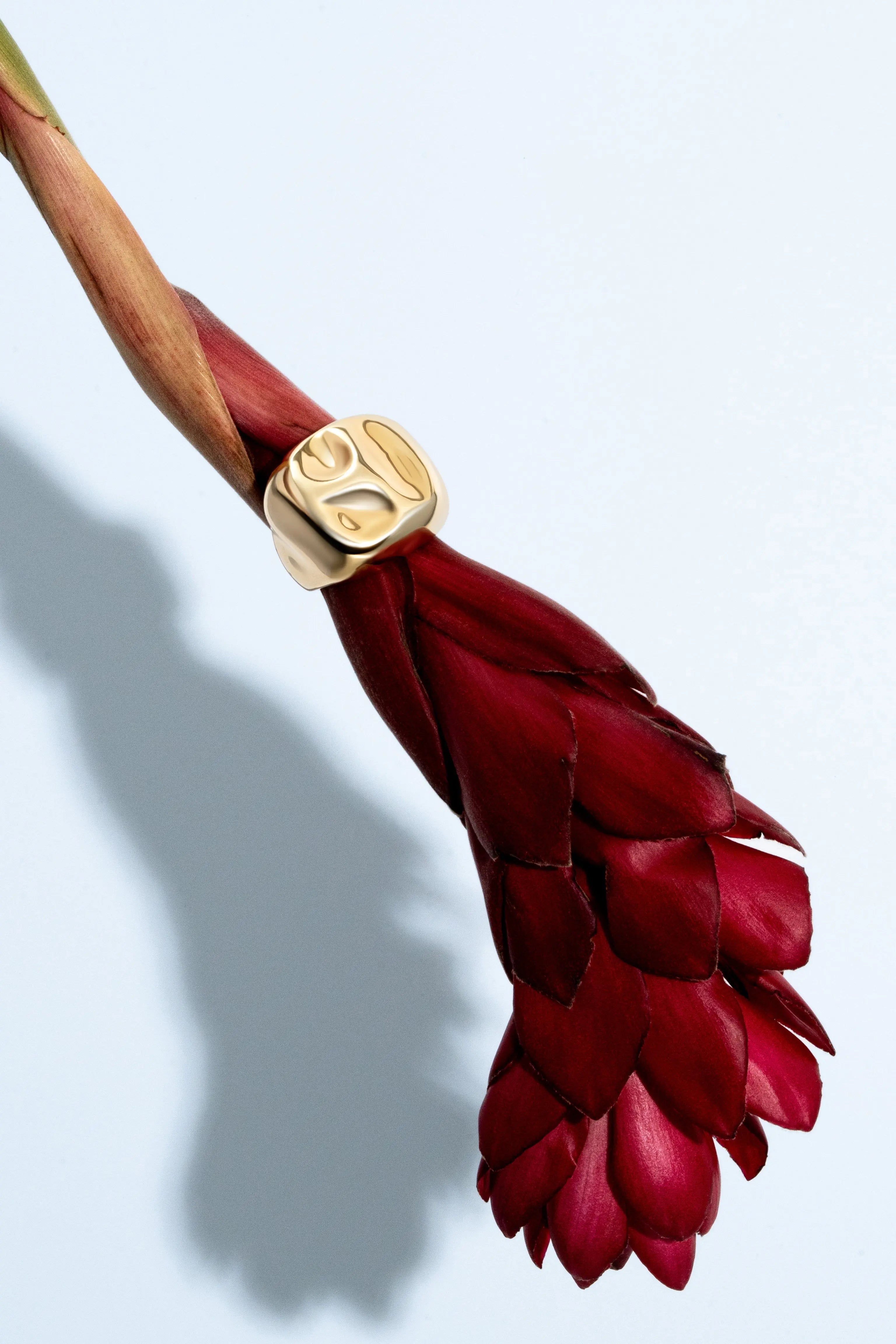 Sara Gold Ring Denise Pacini