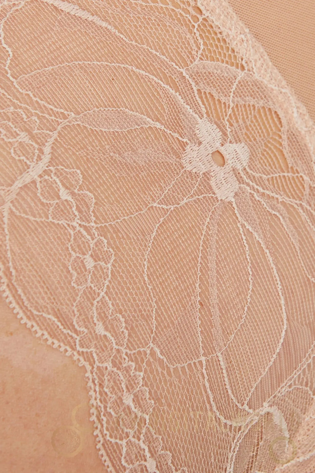 Sheer Mesh Lace Body Gorteks Charlize-4