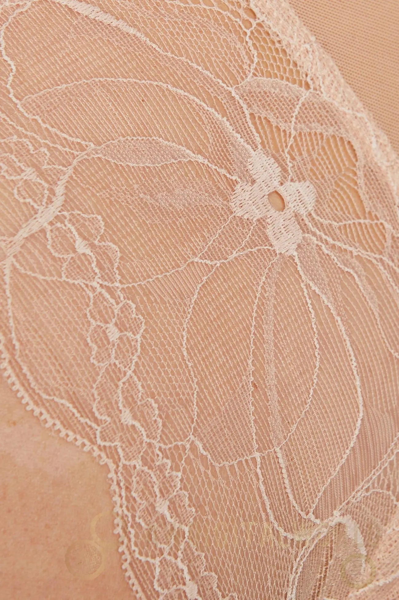 Sheer Mesh Lace Body Gorteks Charlize-4