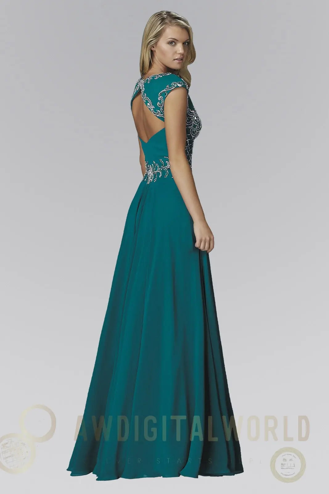 V-Neck Chiffon Floor Length Dress with Jewel Embellished Bodice-1