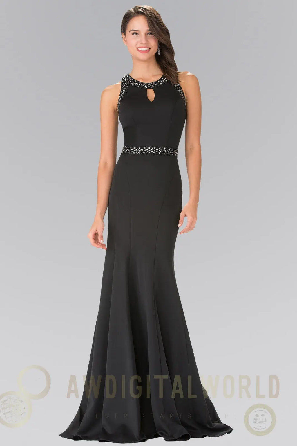Beads Embellished Bodice Long Dress with Sheer Back-0